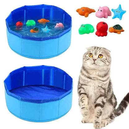 Pet playing in a water pool with floating toys for summer fun