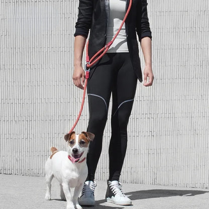 Dog walking beside owner wearing reflective hands-free nylon leash