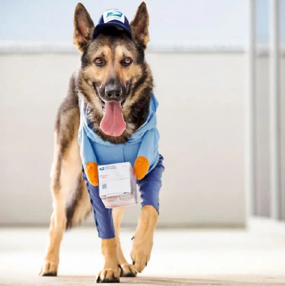 Dog dressed in a UPS courier costume with branded uniform for Halloween or party fun