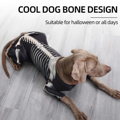 Medium-sized dog wearing a black Halloween skeleton costume with white bone print, standing on a decorated floor.