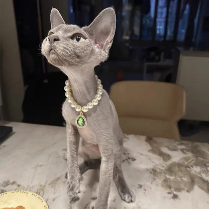 Small dog wearing gem pendant pearl necklace with lace accents