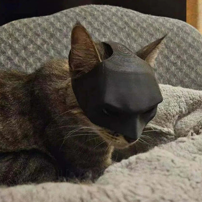 Cat wearing a black bat-inspired superhero mask, posing confidently for Halloween.