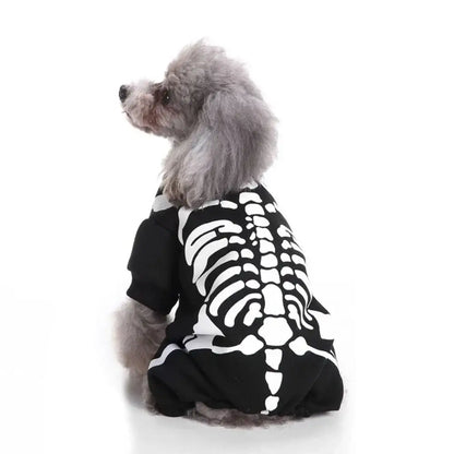 Small dog wearing a Halloween skeleton costume jumpsuit.