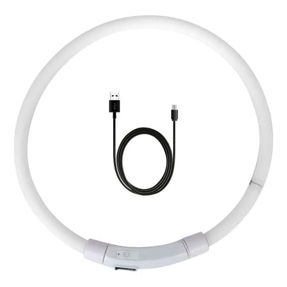 The Pet Paradise | Rechargeable LED Night Dog Collar - Glowing Luminous Pet Collar with USB for Night Safety Flashing