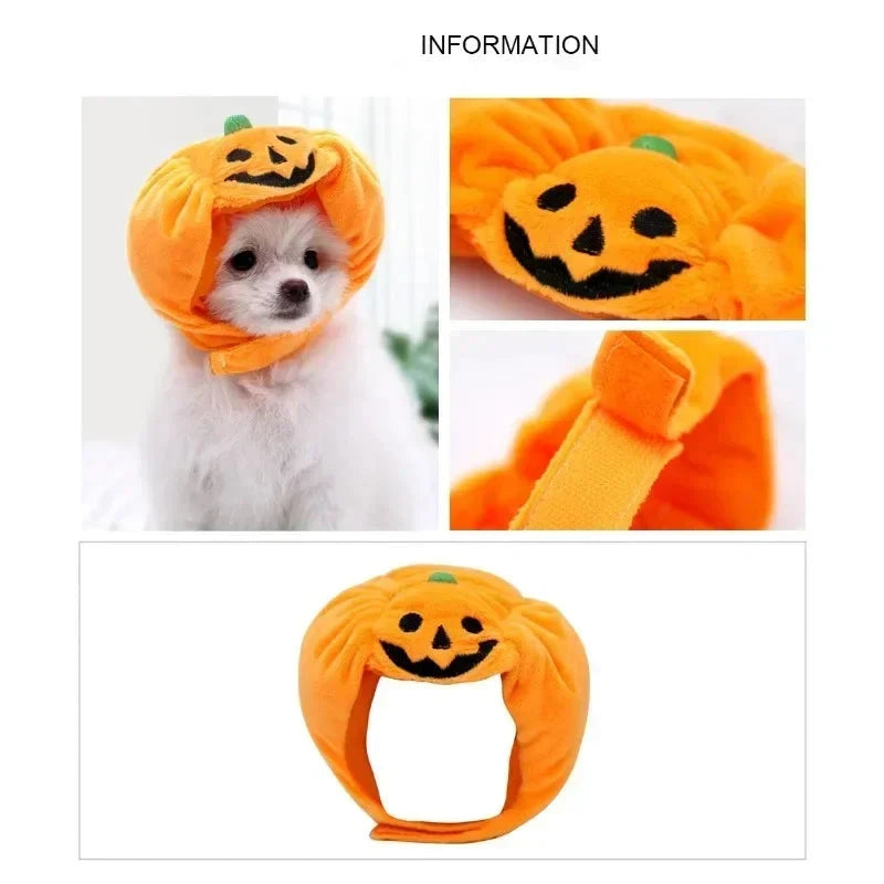 Pet headdress featuring a cute pumpkin design, perfect for small dogs and cats during Halloween festivities