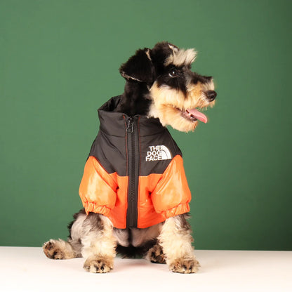 Reflective winter dog jacket for French Bulldogs and Chihuahuas
