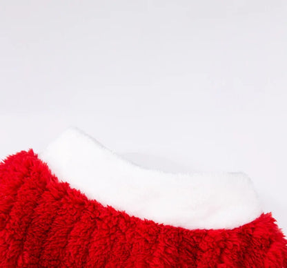 Large dog wearing red Christmas sweater for winter and holiday celebrations
