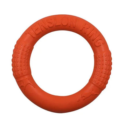 Durable EVA flying saucer chew ring for dogs that floats and promotes active outdoor play