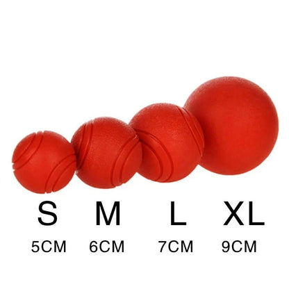 Durable red rubber dog ball made from TPR, designed for strong chewers and active dogs, available in multiple sizes.