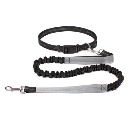 Hands-free dog leash with adjustable waist belt and dual-bungee shock absorber, designed for jogging and running with dogs safely and comfortably.