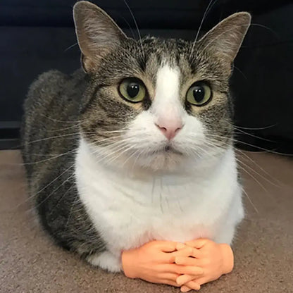 Mini hand finger sleeves massaging a cat with soft silicone gloves.