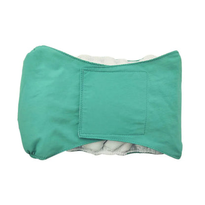 Male dog wearing washable sanitary belly wrap for training