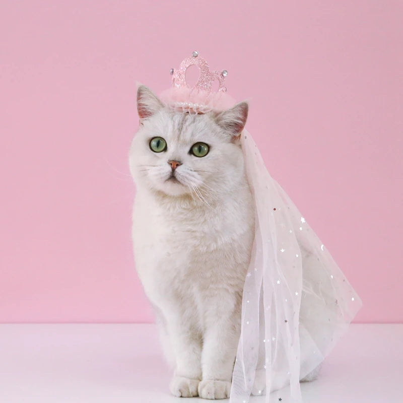 Pet wedding crown with veil, featuring lace, sequins, and pearls – bridal headdress for cats and small dogs