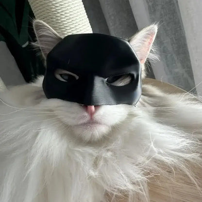 Cat wearing a black bat-inspired superhero mask, posing confidently for Halloween.