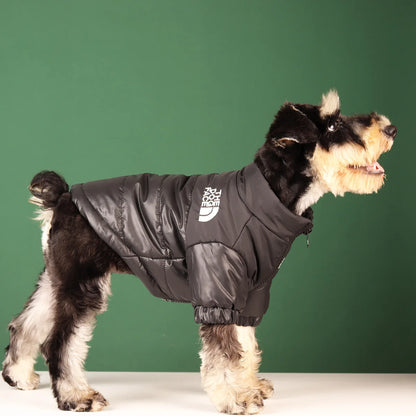 Reflective winter dog jacket for French Bulldogs and Chihuahuas