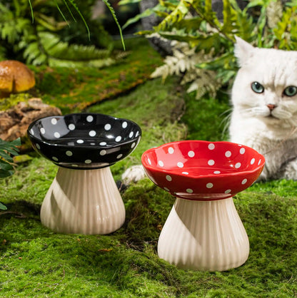 tilted pet feeder for flat-faced cats