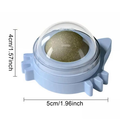 Lickable catnip balls chew toy and snack for cats with dental cleaning effect