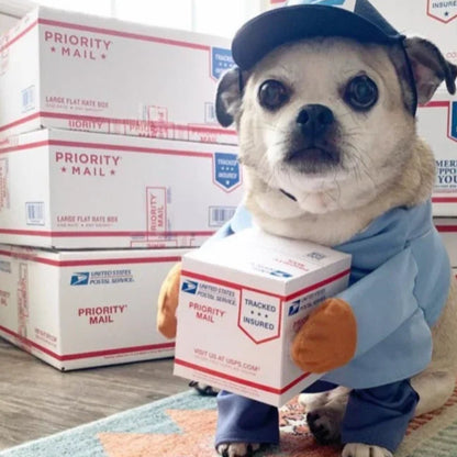 Dog dressed in a UPS courier costume with branded uniform for Halloween or party fun