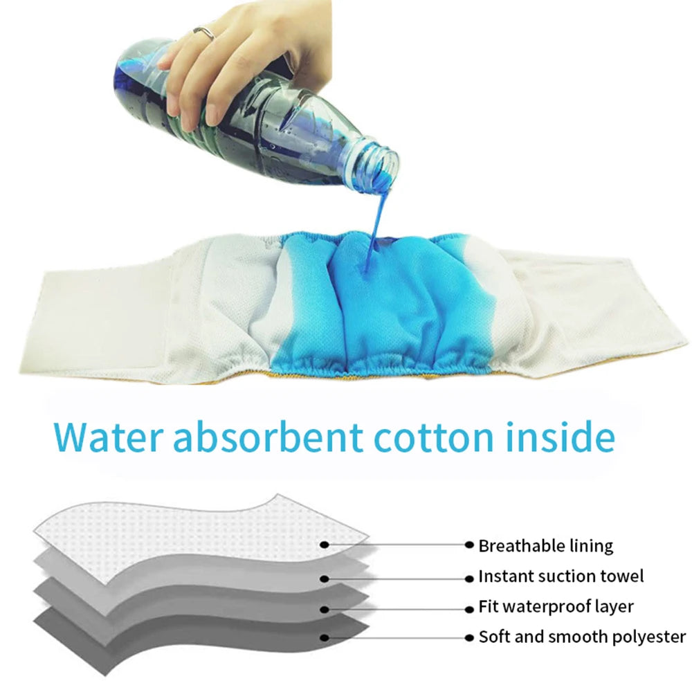 Male dog wearing washable sanitary belly wrap for training