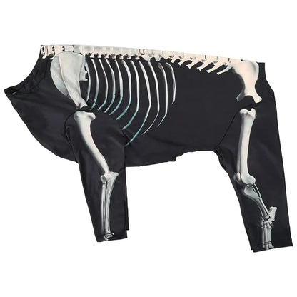 Medium-sized dog wearing a black Halloween skeleton costume with white bone print, standing on a decorated floor.