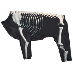 Halloween Dog Skeleton Costume – Spooky Sweatshirt for Dogs