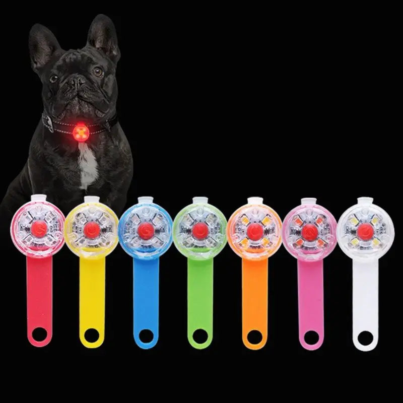 USB rechargeable LED pet collar pendant for nighttime safety and outdoor visibility