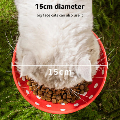 tilted pet feeder for flat-faced cats