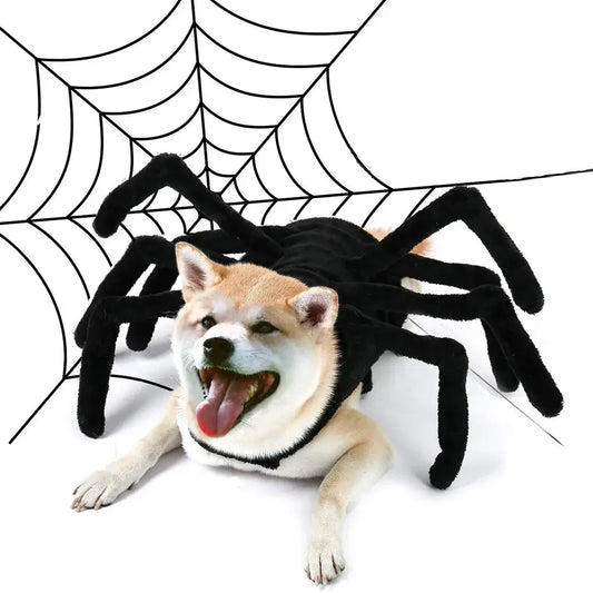  Halloween Dog Costume featuring a black spider design, perfect for festive celebrations and themed events. Available in multiple sizes for all dogs.