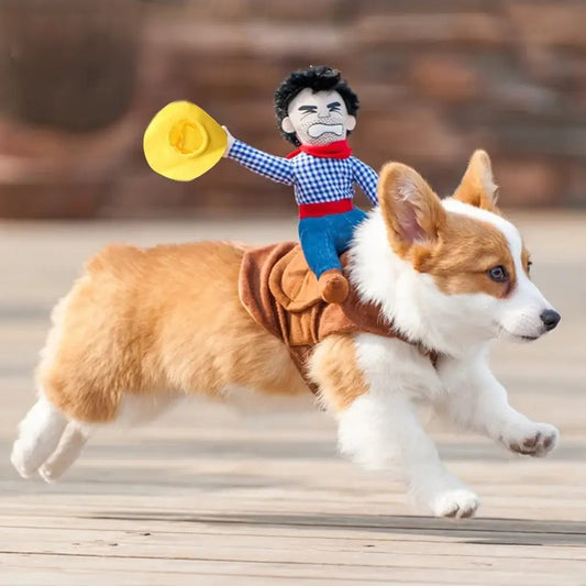 Dog dressed in a funny cowboy jacket for Halloween, perfect for parties and photo shoots.