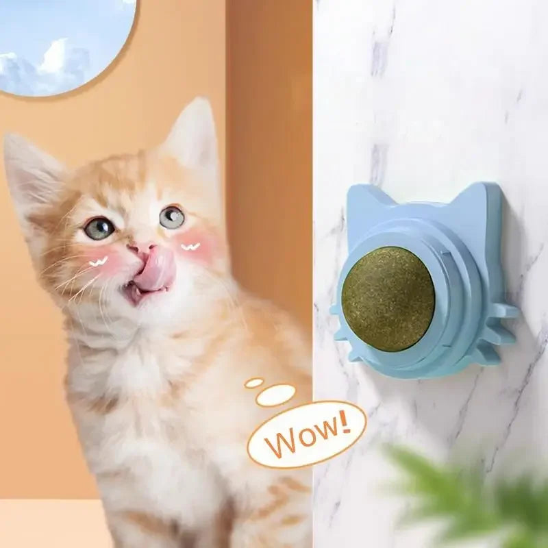 Catnip balls for cats, lickable snacks that promote play and oral health for small and medium cats