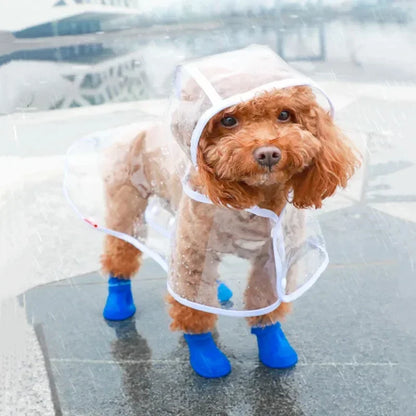 Transparent waterproof dog raincoat for small to medium-sized pets, keeping them dry and stylish during rainy outdoor walks.