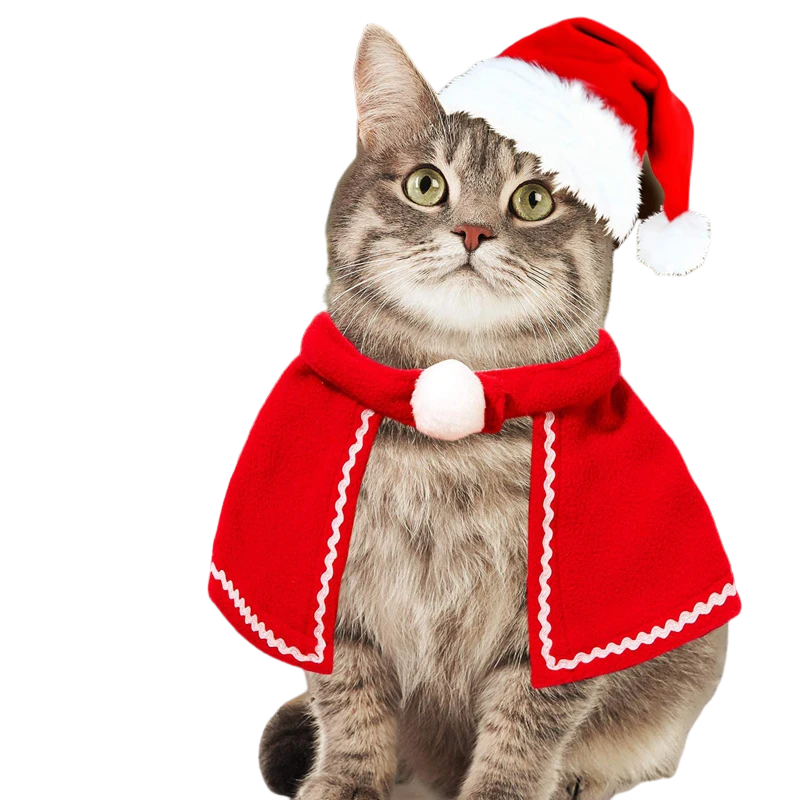 Cat Christmas costume set with reindeer antlers, Santa hat, red scarf, and pet cloak for holiday celebrations.