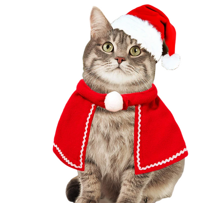 Adorable cat wearing reindeer antlers, Santa hat, red scarf, and holiday cloak for Christmas celebrations