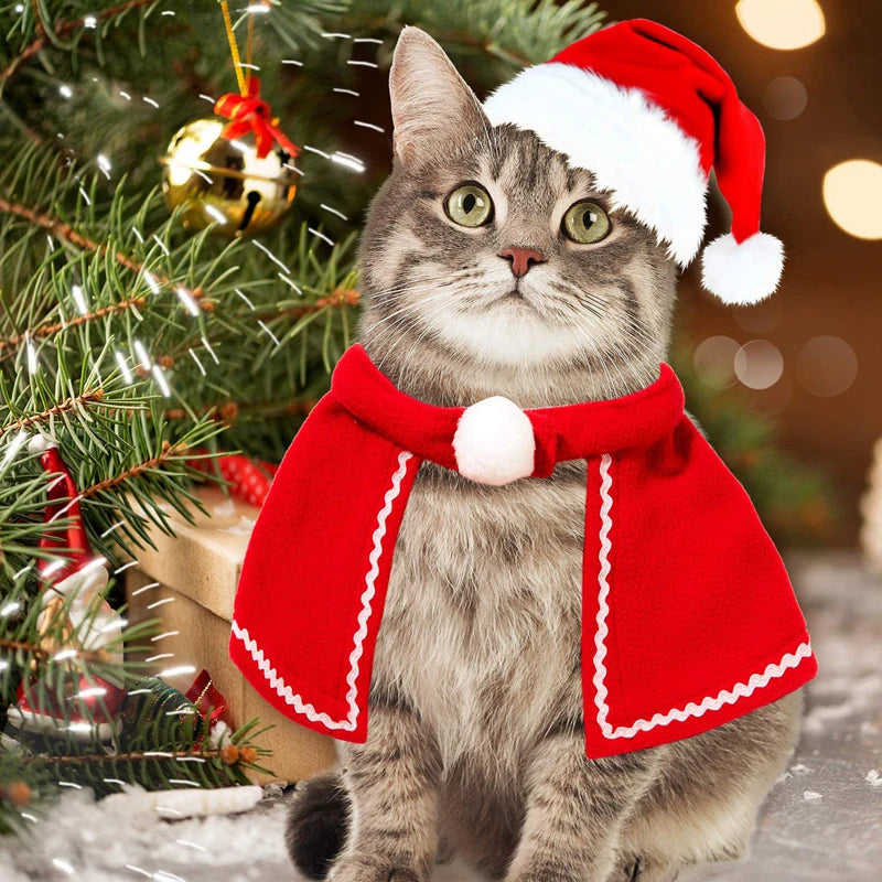 Cat Christmas costume set with reindeer antlers, Santa hat, red scarf, and pet cloak for holiday celebrations.