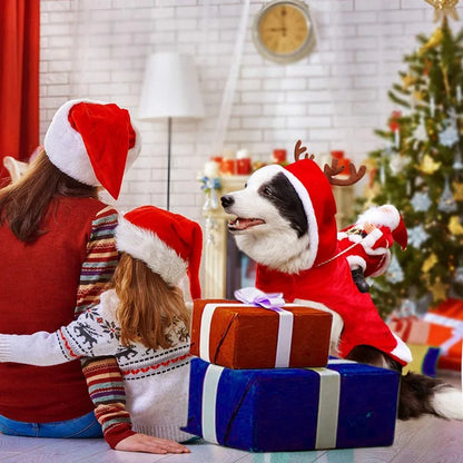 Dog wearing Christmas costume with plush Santa sitting on its back like a rider