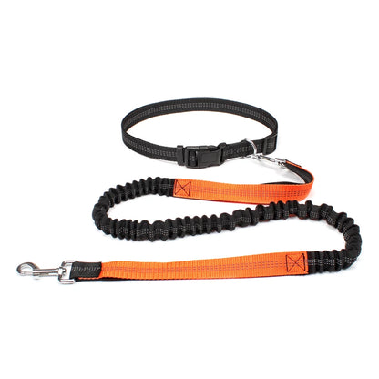 Hands-free dog leash with adjustable waist belt and dual-bungee shock absorber, designed for jogging and running with dogs safely and comfortably.