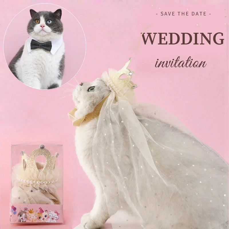 Pet wedding crown with veil, featuring lace, sequins, and pearls – bridal headdress for cats and small dogs