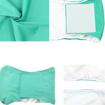 Male dog wearing washable sanitary belly wrap for training