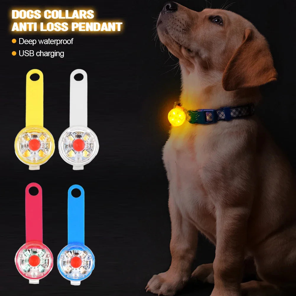 USB rechargeable LED pet collar pendant for nighttime safety and outdoor visibility