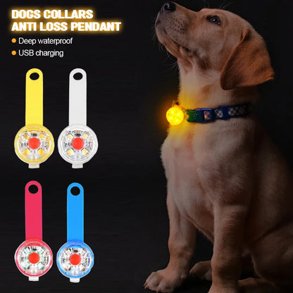 USB rechargeable waterproof LED collar pendant for pet visibility and safety