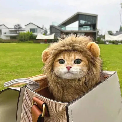 Cat wearing a fluffy lion mane hat, ideal for Halloween or costume parties.