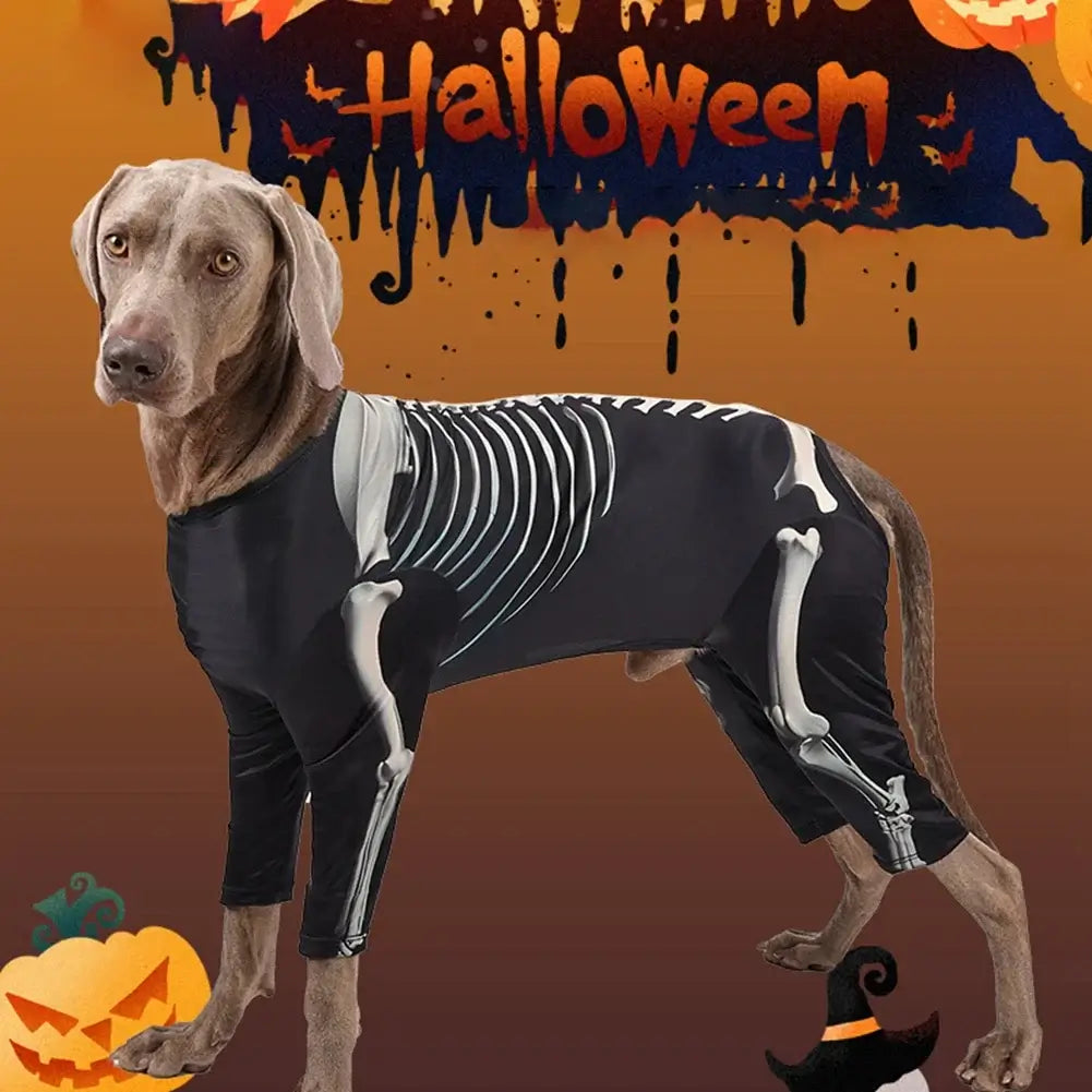 Halloween dog skeleton costume, 4-legged dog sweatshirt, French Bulldog Halloween costume, medium large dog skeleton outfit, spooky pet clothes for dogs