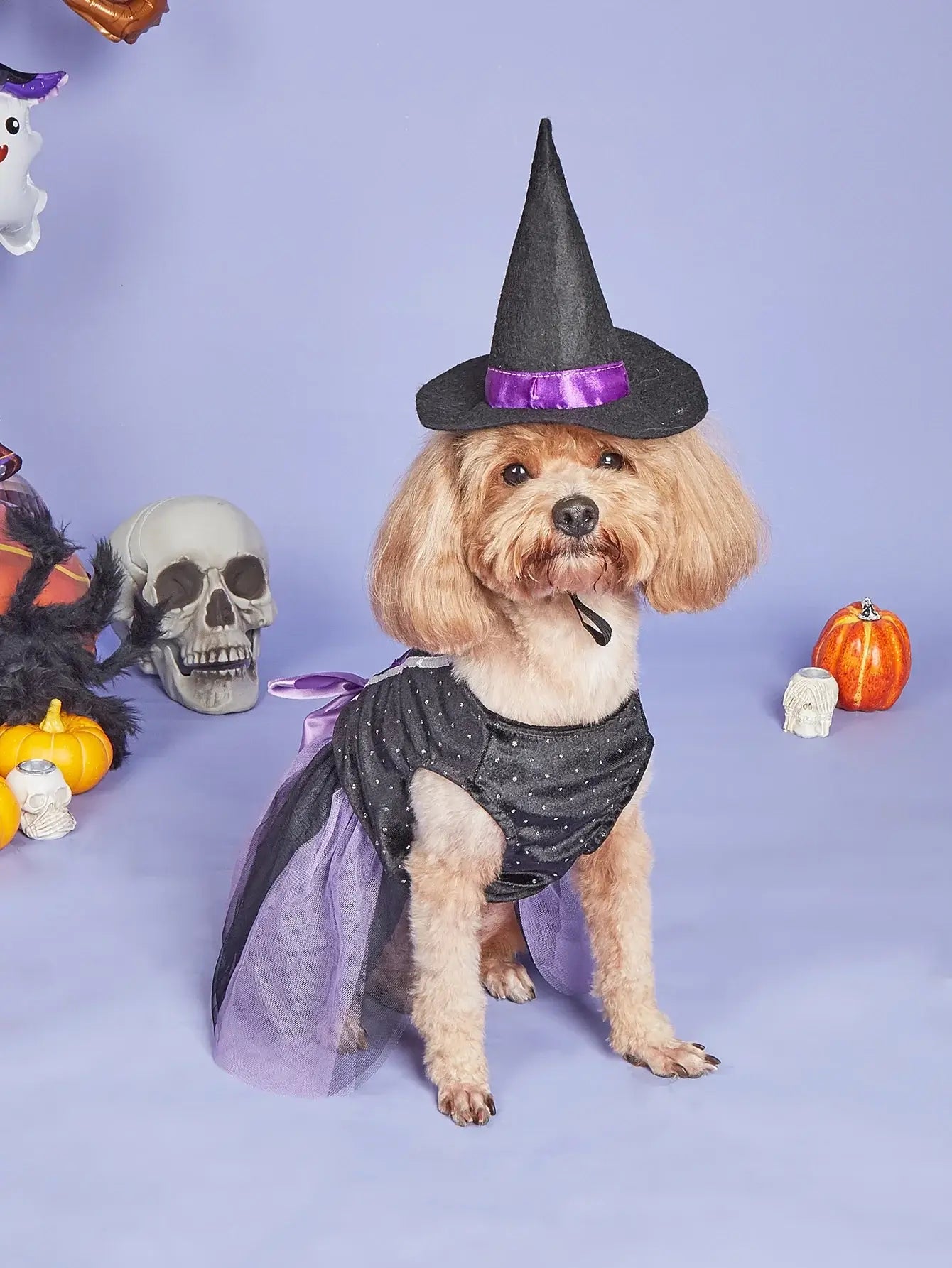 Small dog wearing velvet Halloween dog dress with tulle tutu and witch hat, perfect for Halloween parties or pet photoshoots.