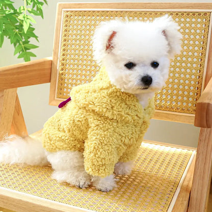 Small dog wearing a thick plush Halloween hoodie coat for chilly weather.