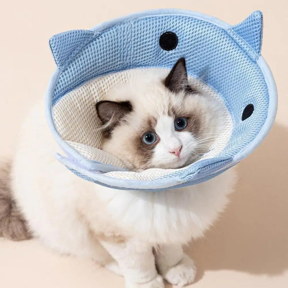 Cône de récupération pour collier d'animal de compagnie – Protection cicatrisante réglable en coton doux