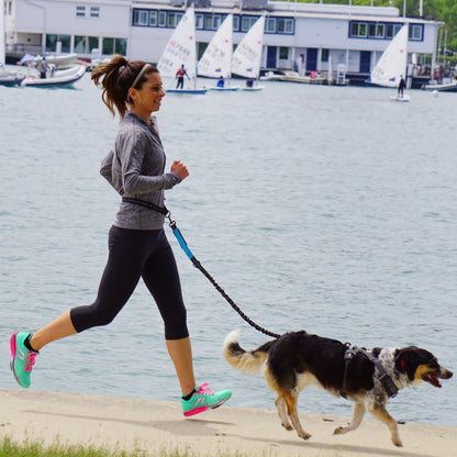 Hands-free dog leash with adjustable waist belt and dual-bungee shock absorber, designed for jogging and running with dogs safely and comfortably.