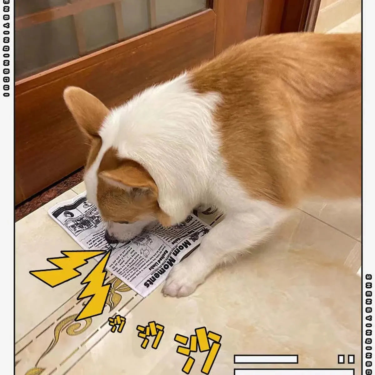 The Pet Paradise | Tearproof Dog Squeaky Toy - Simulated Squeaking Newspaper and Playing Card, Teeth Resistant Interactive Toy for Puppies, Corgis, and Small Dogs