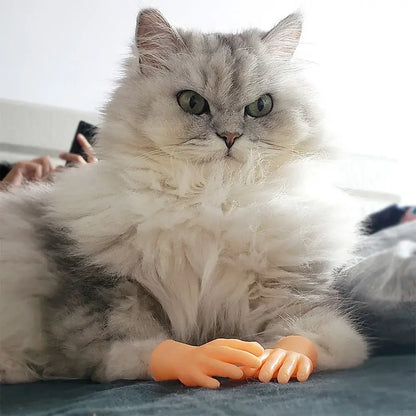 Mini hand finger sleeves massaging a cat with soft silicone gloves.