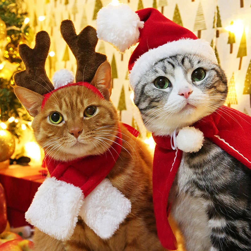 Adorable pet Christmas hat and scarf set for cats and dogs, perfect for winter celebrations.