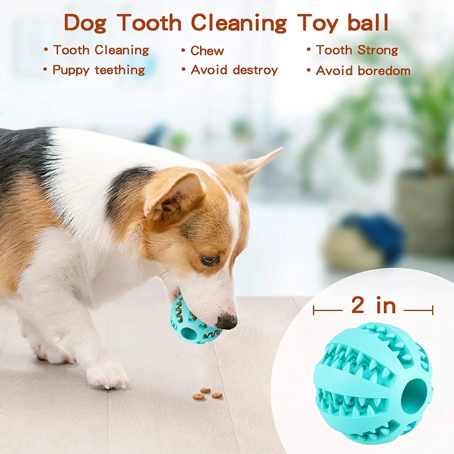 Elasticity Ball Dog Toy made of natural rubber, ideal for chewing, teeth cleaning, and interactive play for small and medium dogs.